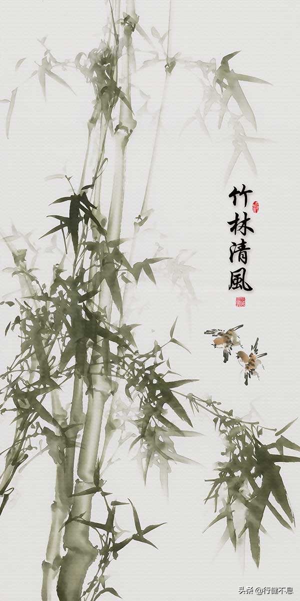 古风描写竹林清幽的文案(描写竹林清幽的诗句 )_爱阅读