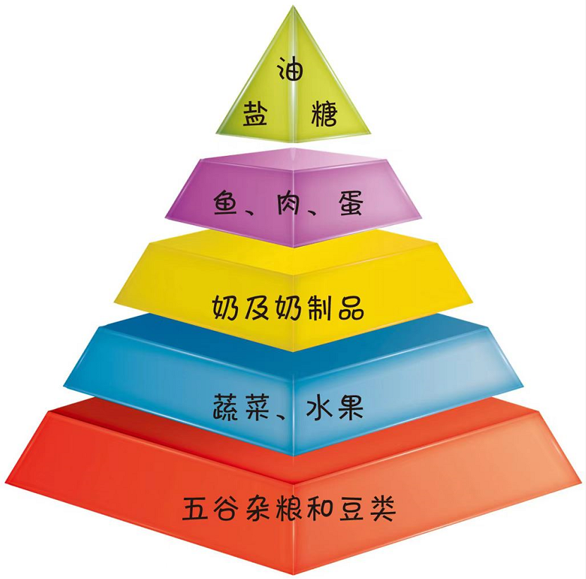 根据儿童饮食营养金字塔的原理:在金字塔的最底层是五谷杂粮和豆类,第