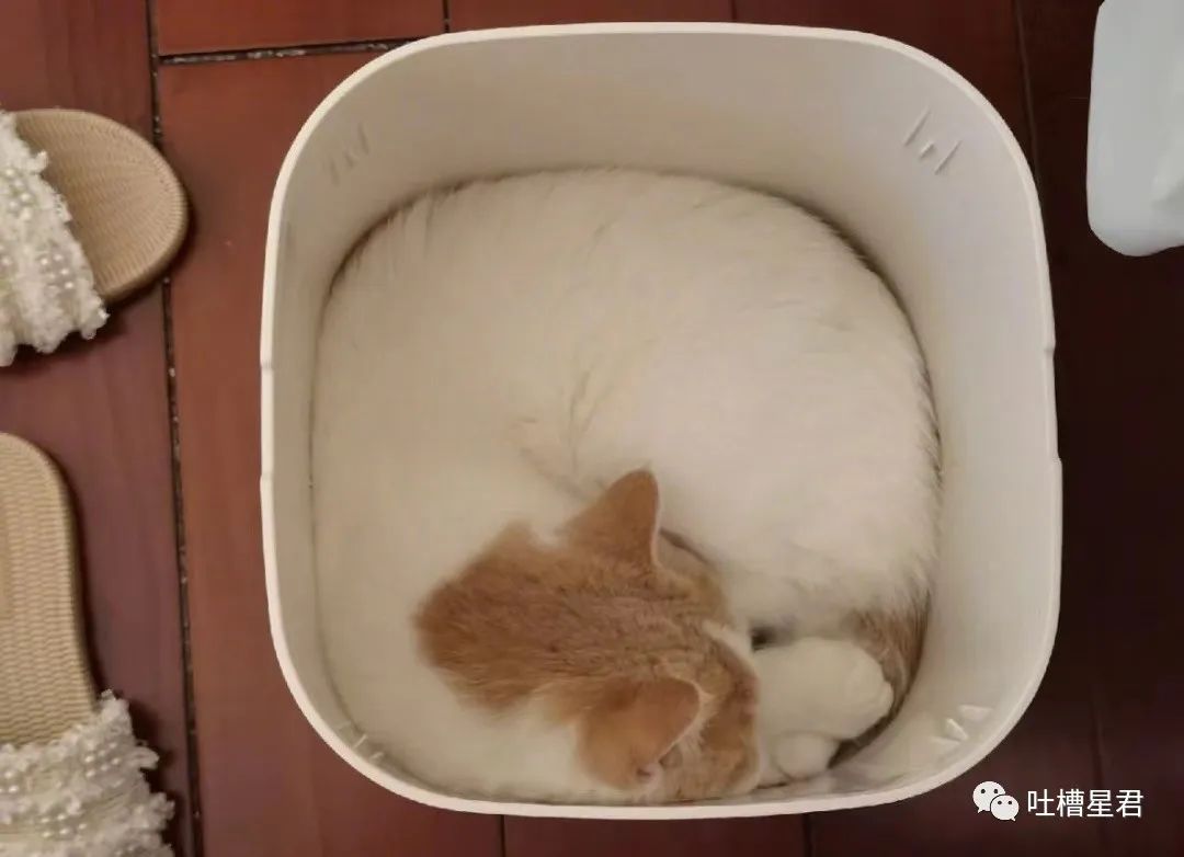 周杰伦新专辑为了显瘦有多心机？郎朗：我没惹你们任何人.