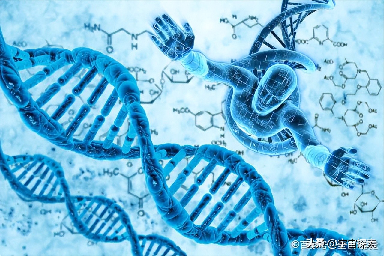 为什么人类不能实现永生？科学家：人类只是在给基因打工