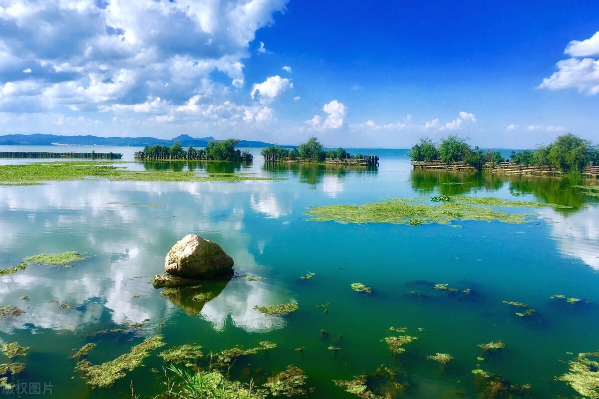 昆明周末去哪里玩(周末打卡昆明7个让你去了还想去的湿地公园，最重要的是免费)