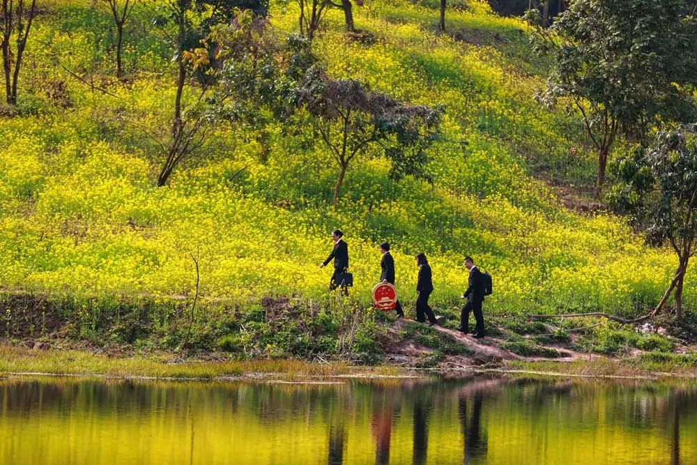 中国法院“二十四”节气 清明——每一个“你”，我们都不曾忘记