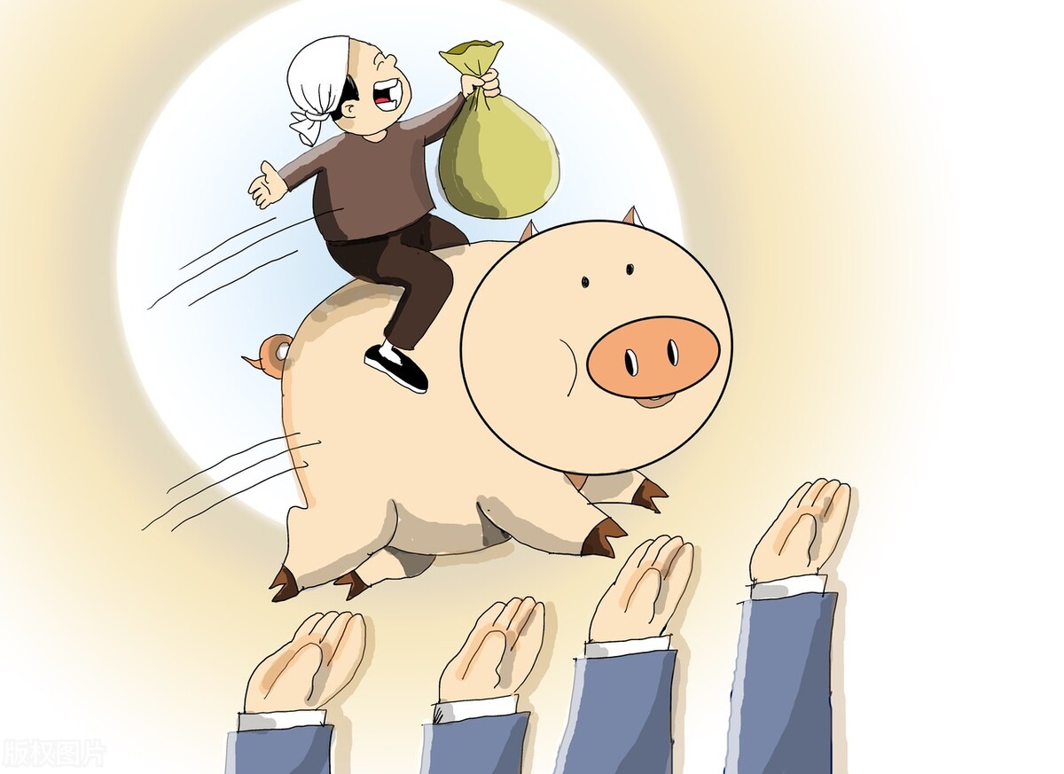 生猪价格“暴利”时代已经结束，11月14日最新生猪行情