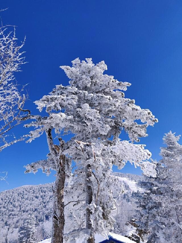 江南江北雪漫漫，遥知易水寒——大雪读“雪”，方知冬情