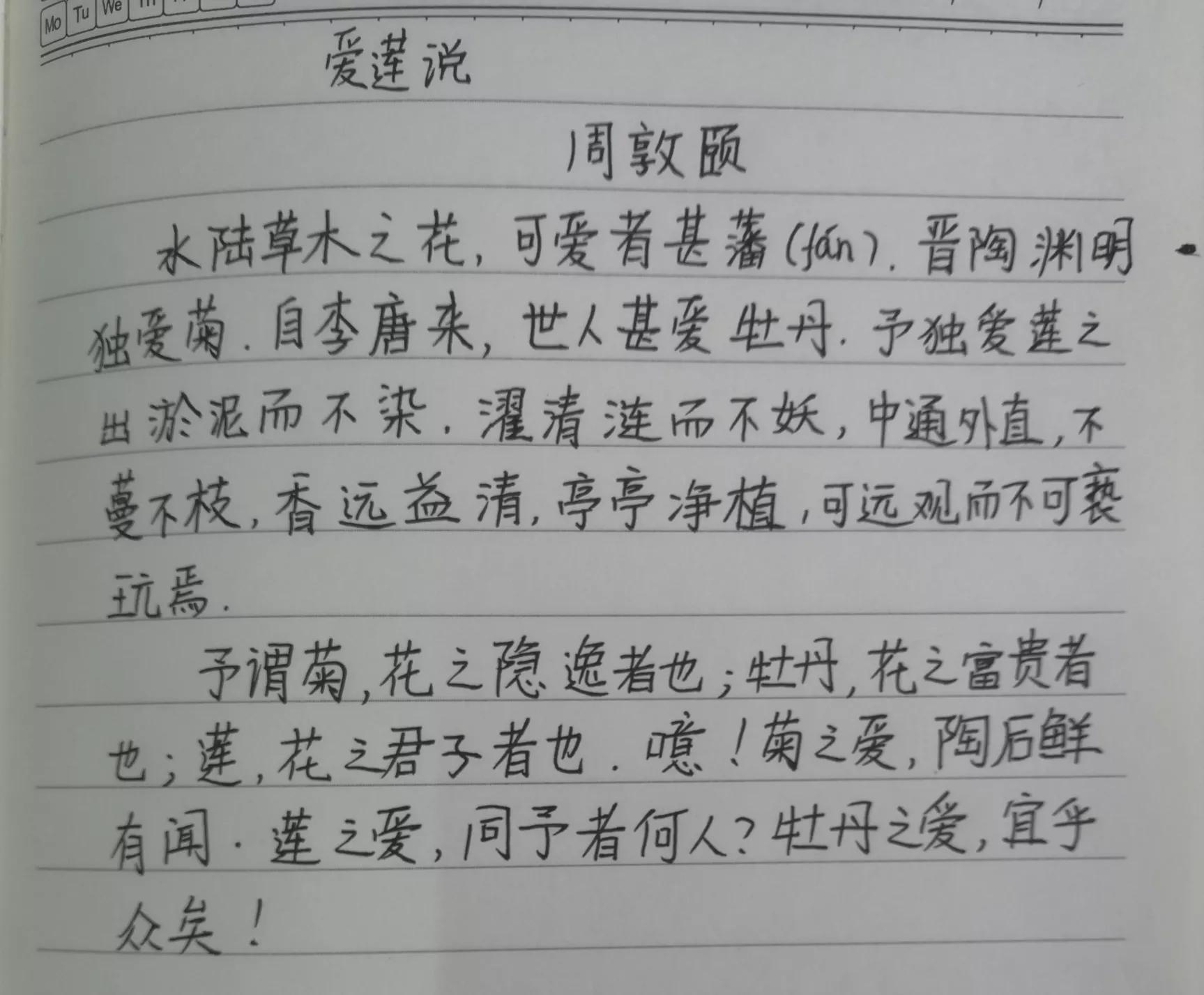 陋室铭课文笔记整理图片,陋室铭笔记整理