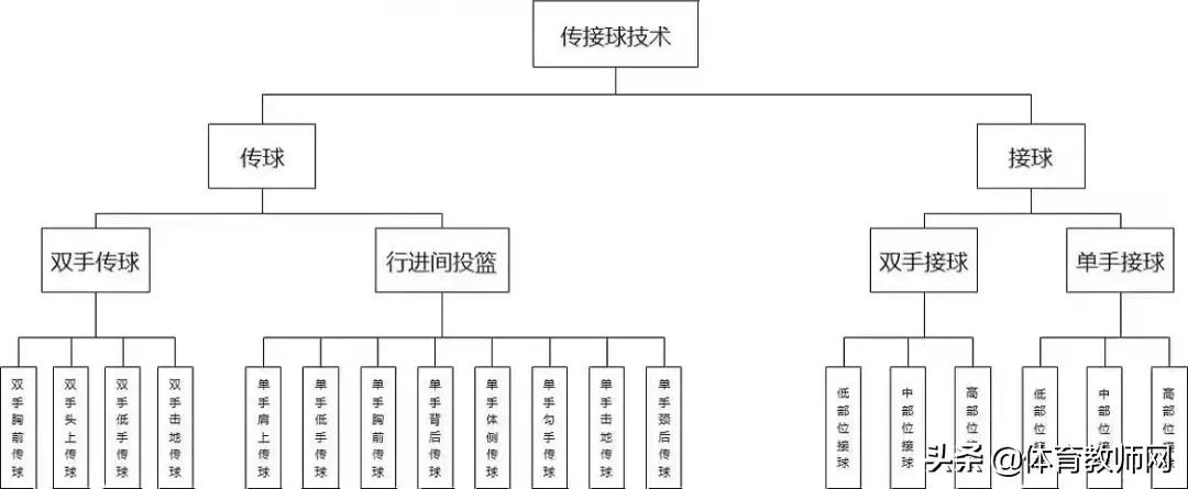 篮球战术图解(「篮球教学」篮球必备技战术图解)