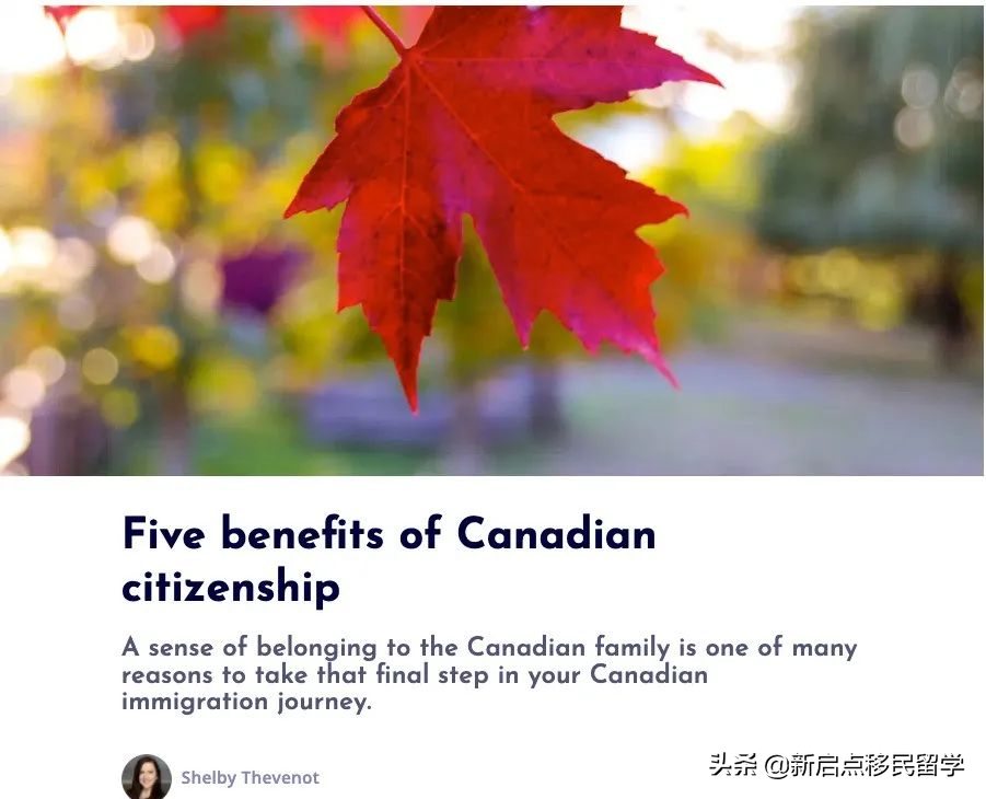 相比移民拿枫叶卡，入籍成为加拿大公民有什么好处？