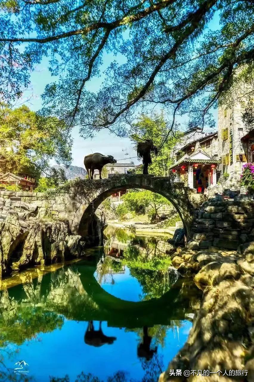 这才是中国最美的春天