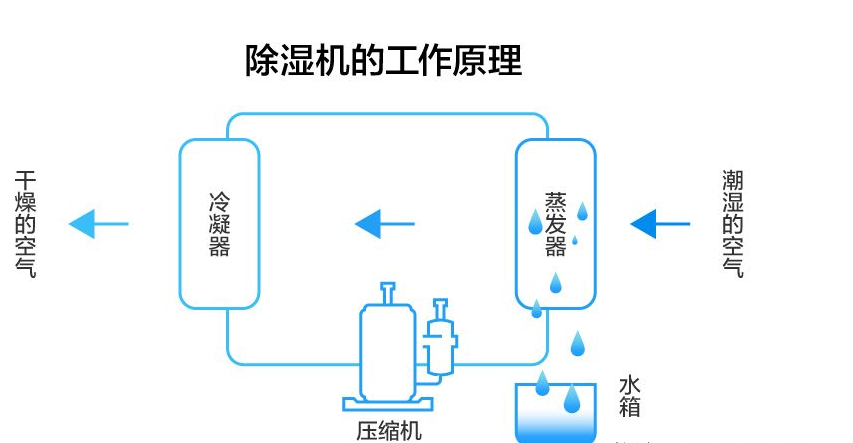 为什么用了除湿机，地下室仍然很潮湿？富豪们是这样处理的