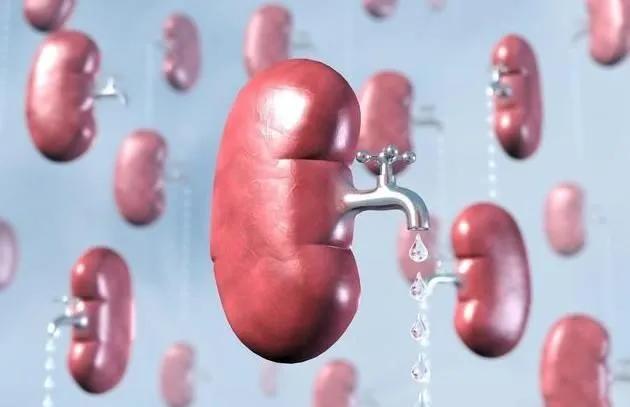 肝病患者为什么会出现腹水？有三个因素，中西医治疗有哪些不同？