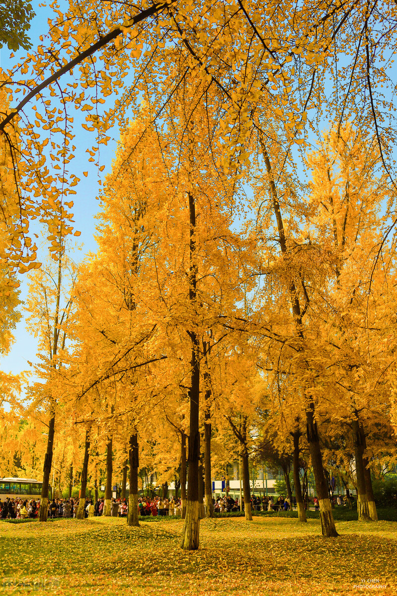 预期翻番的三个数字货币强势品种分析
