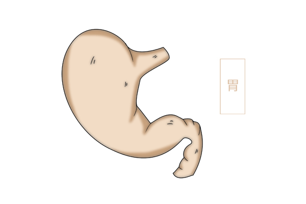 “胀气”就是胃病？不一定，可能和这几个器官出问题有关