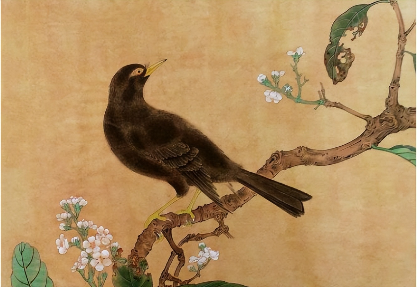 从神鸟到孝鸟,最后沦落为恶鸟,乌鸦的悲剧为什么发生在宋朝?