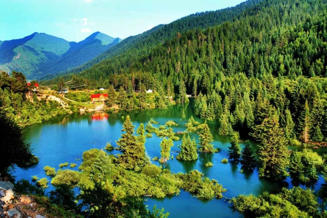 临潭：党建引领打造乡村振兴示范村