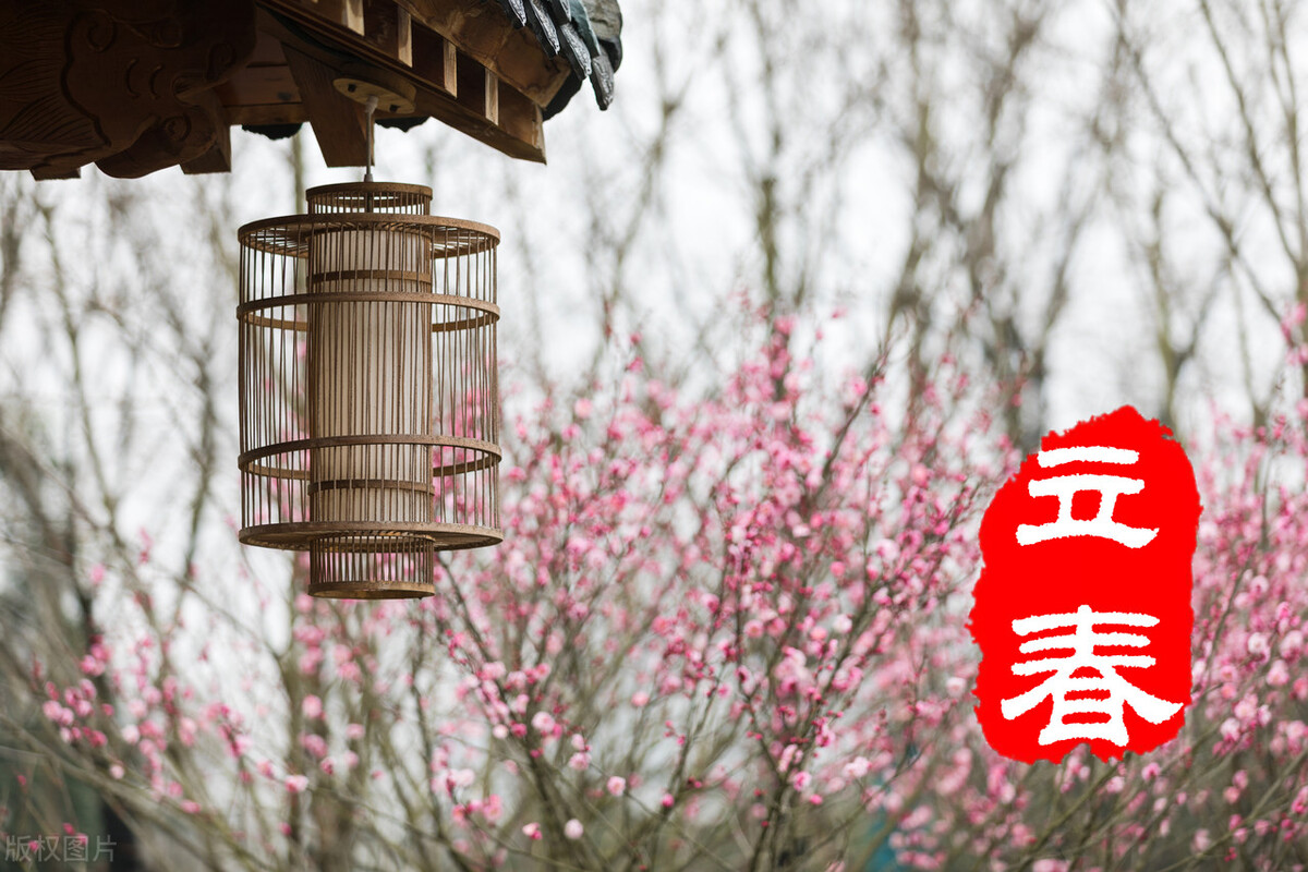 韭菜和鸡肉可以一起吃吗 分享6道韭菜做法