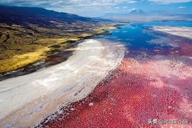 世界十大禁地，有谁知道