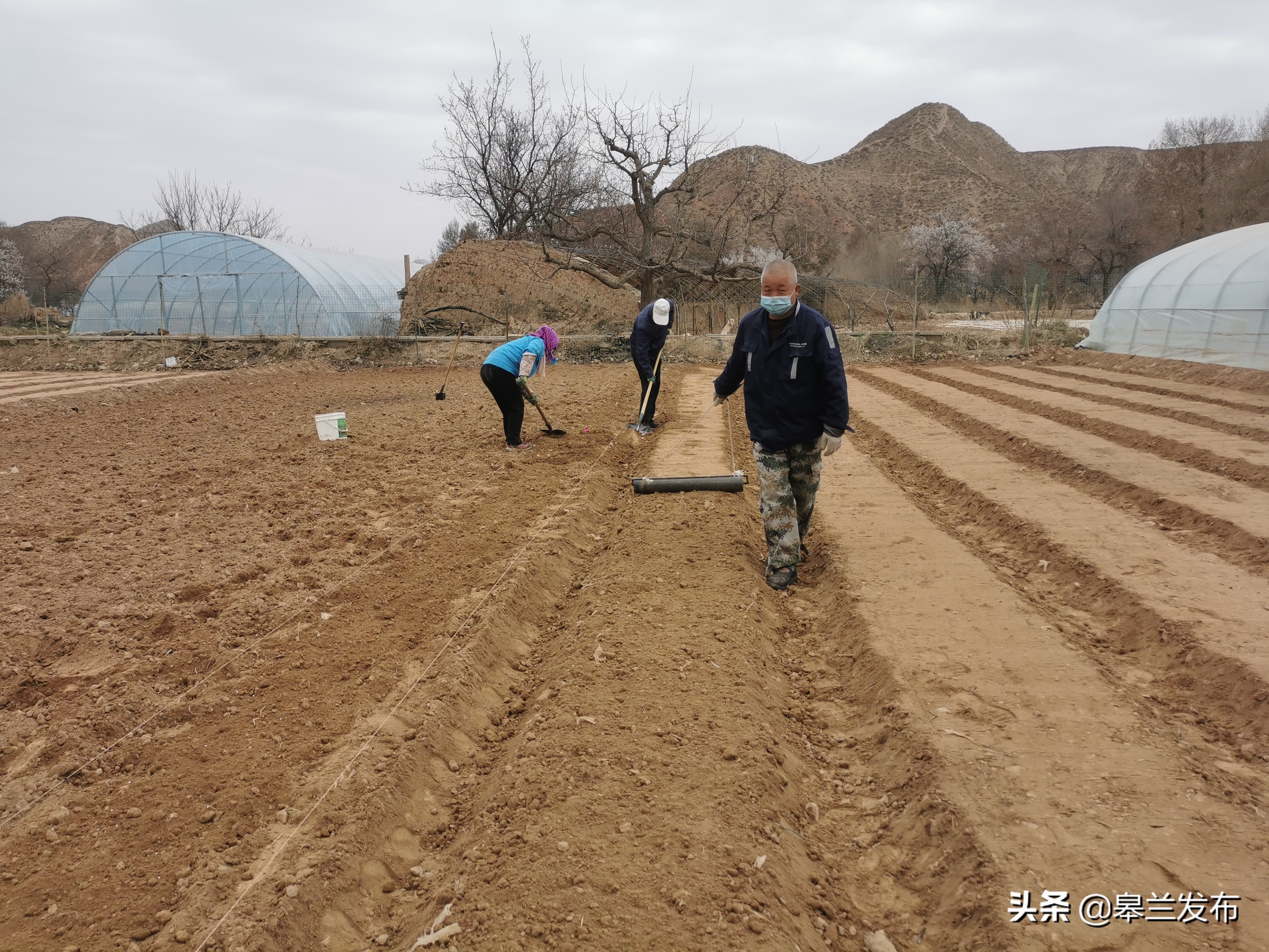 �����ؾź����ٴ�ץ�ô������� ��ʵ�ƽ�ũҵ����