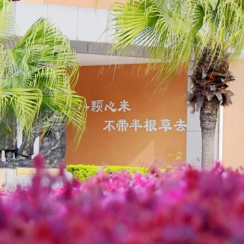 职等你来！优质教师团队，高品质学校，七中实验教师招聘不容错过