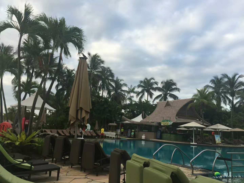 新加坡国立大学法律硕士专业