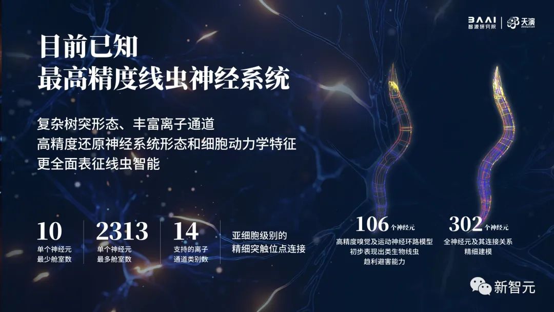 一只名为的智能线虫宝宝诞生，2022 智源大会进行时