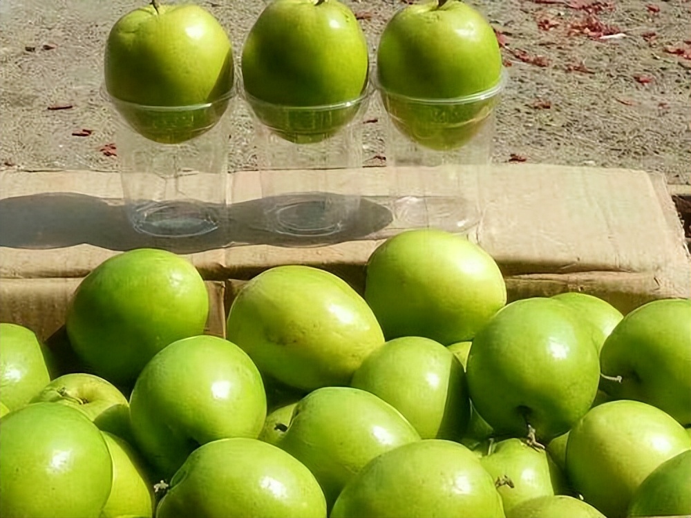 消化科医生：胃不好的人，少吃3种水果，3物可常吃，有助稳定胃功