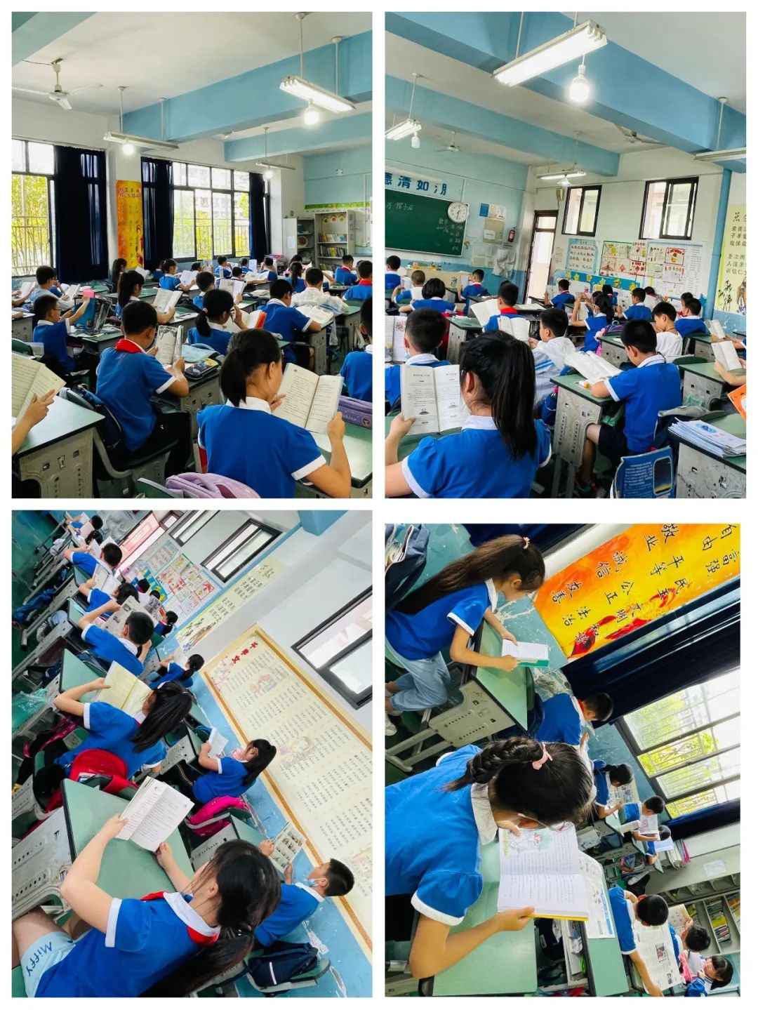 腹有诗书气自华，最是书香能致远｜走进双流区棠湖小学三年级八班