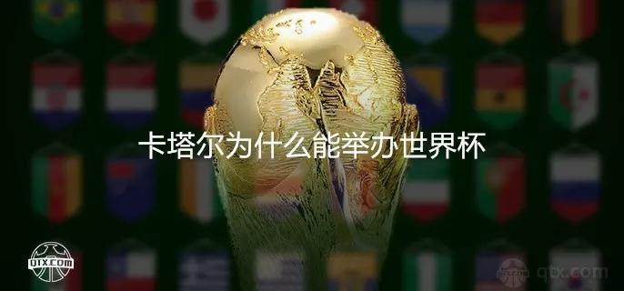 世界杯为什么东道主有优势（卡塔尔为什么能举办世界杯？他们都有哪些优势条件）-华海博客