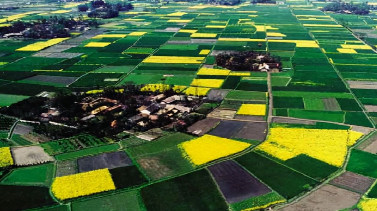 四川这五所院校已被拉入黑名单，没有办学资质，毕业证书一文不值