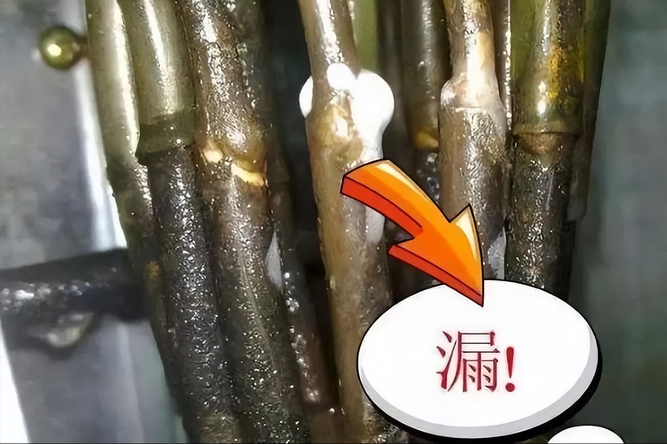 为什么变频空调必须抽真空，而定频空调可以不抽真空呢？