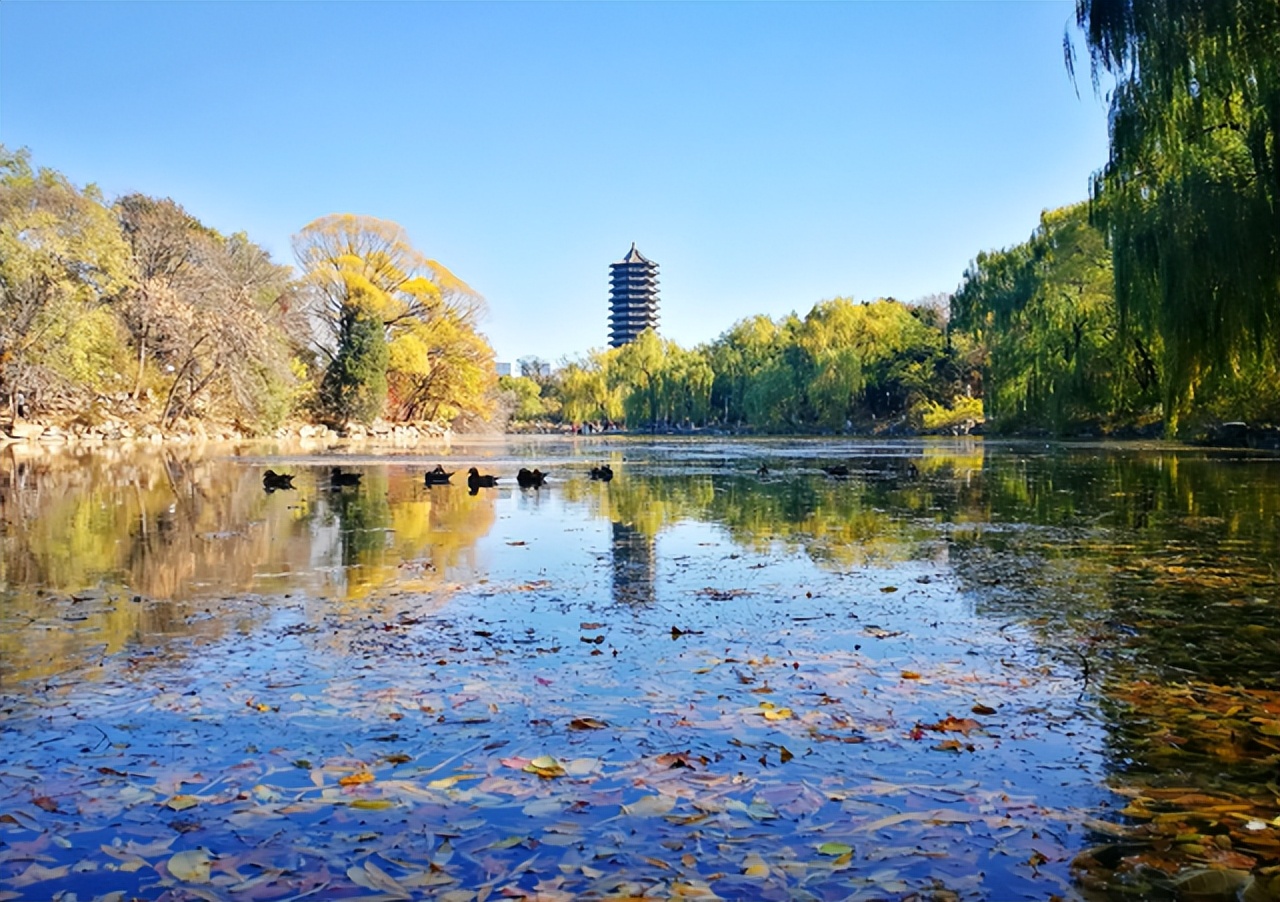 “专科生”考研逆袭进北大，本是一部励志史，评论区却醋海翻腾