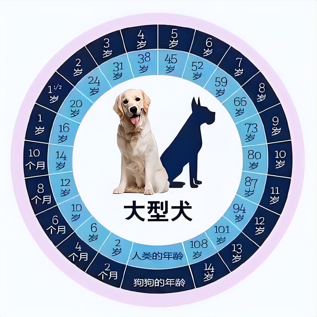ô㣨ô ѧˣ-Ʒ