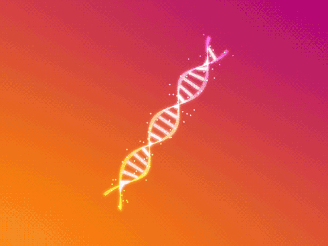 ���Ƕ������Ǻ����70������ʯ����DNA�ɷ֣���������������̫��