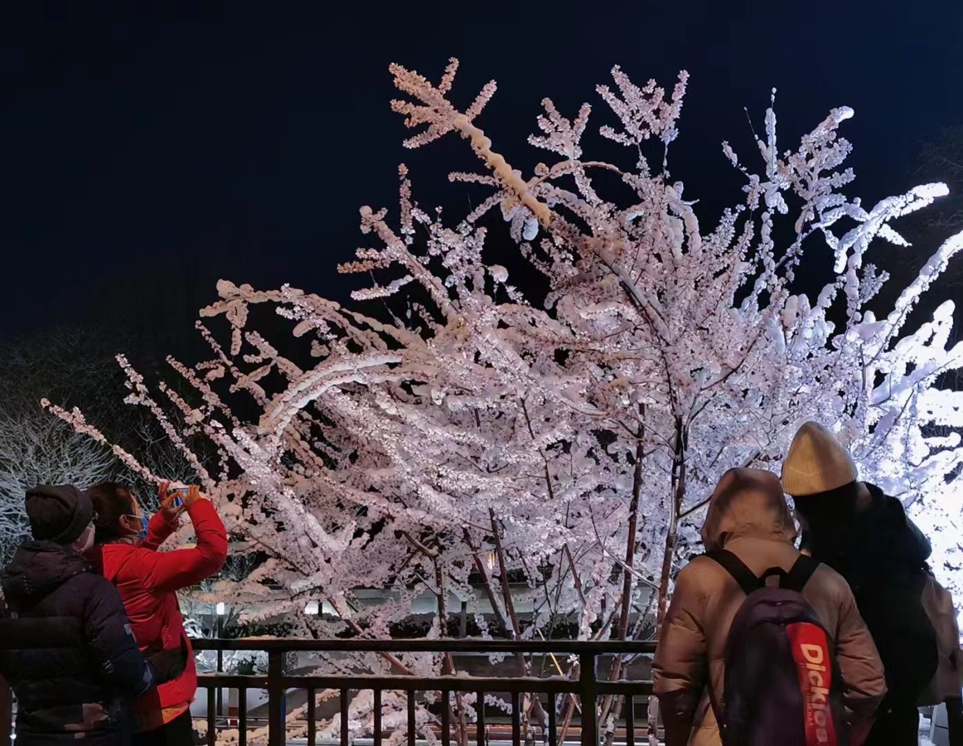 专属于春雪的浪漫，当三月的北京遇见飘雪，有种转瞬即逝的美