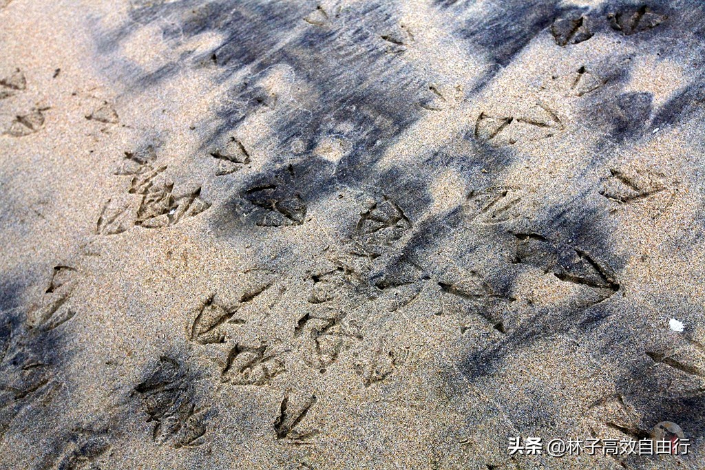 一个在俄罗斯追光成功的游客告诉你：除去运气，追极光其实并不难