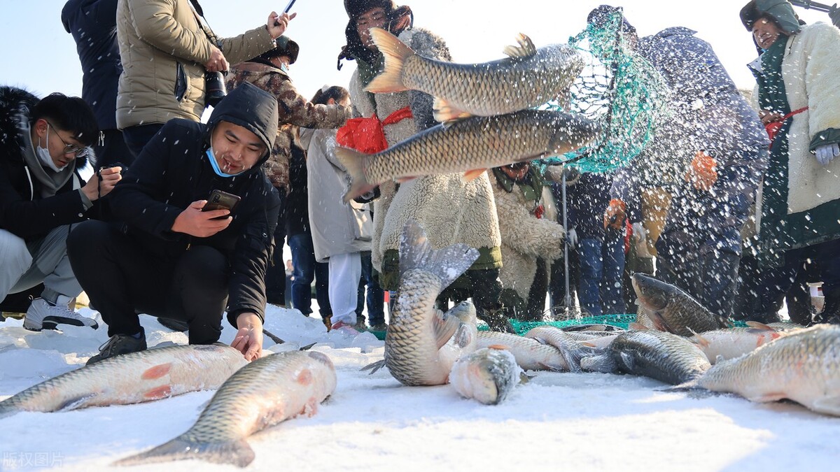 天气预报：今天23日，大到暴雪继续南下，春节冻到哭？看农谚咋说