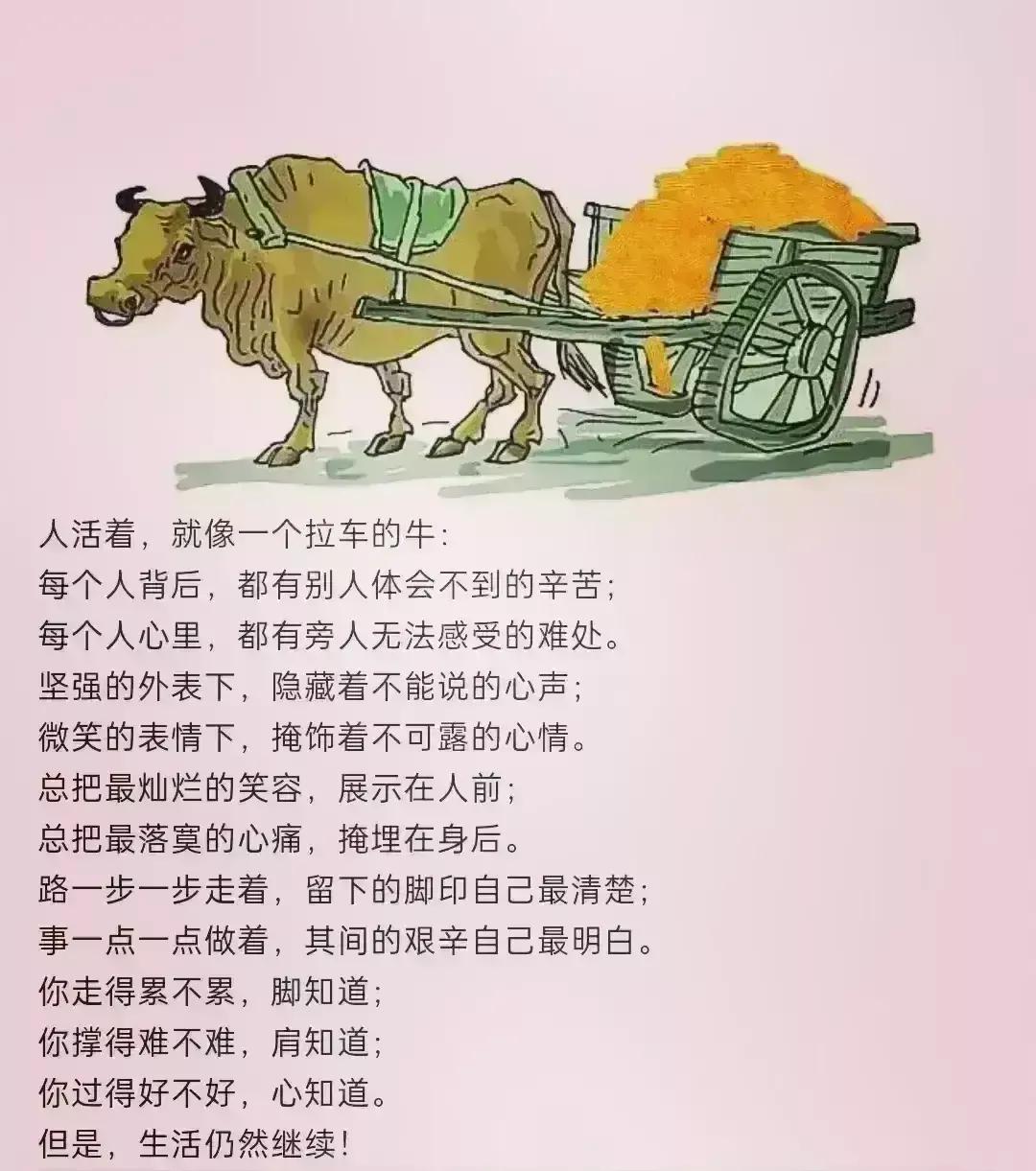 值得收藏学习的名言