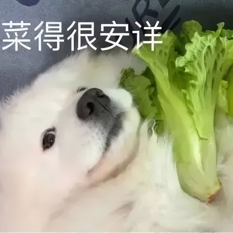 《梦华录》剧情狗血？但它真的戳穿了异地公务员的心酸