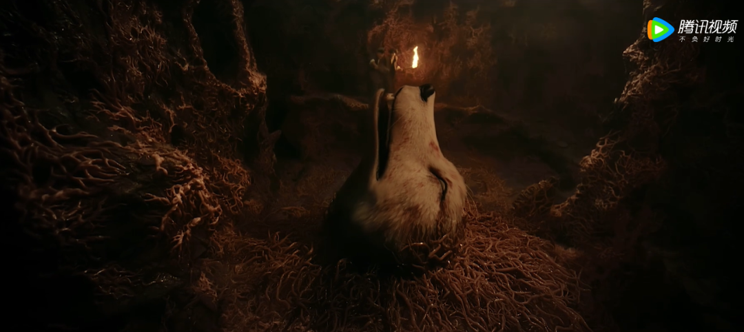 中式悬疑惊悚，邪门至极！扒皮人心，全程高能，他被片名耽误了