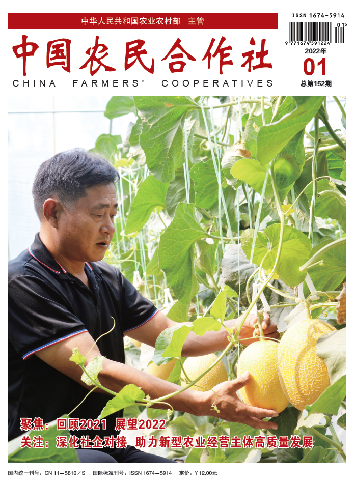 农村专业合作社,农村专业合作社与公司之间的区别主要表现在哪些地方