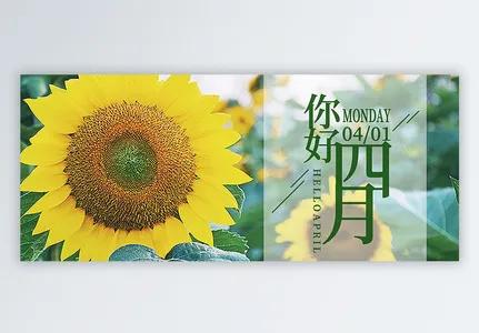 四月你好唯美祝福语,4月温暖美好的春天简短精辟句子文案