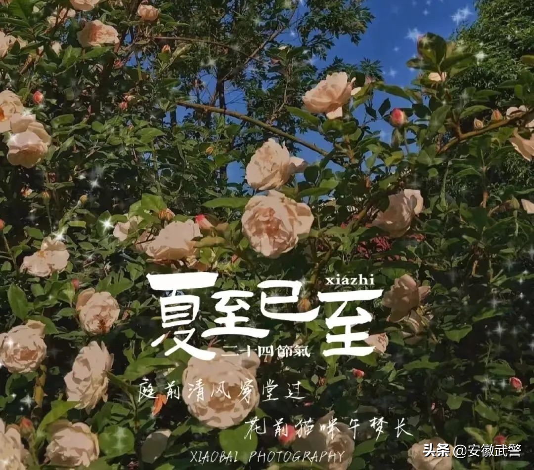 夏季足球赛新闻稿(炎炎夏日，让官兵清凉一“夏”)