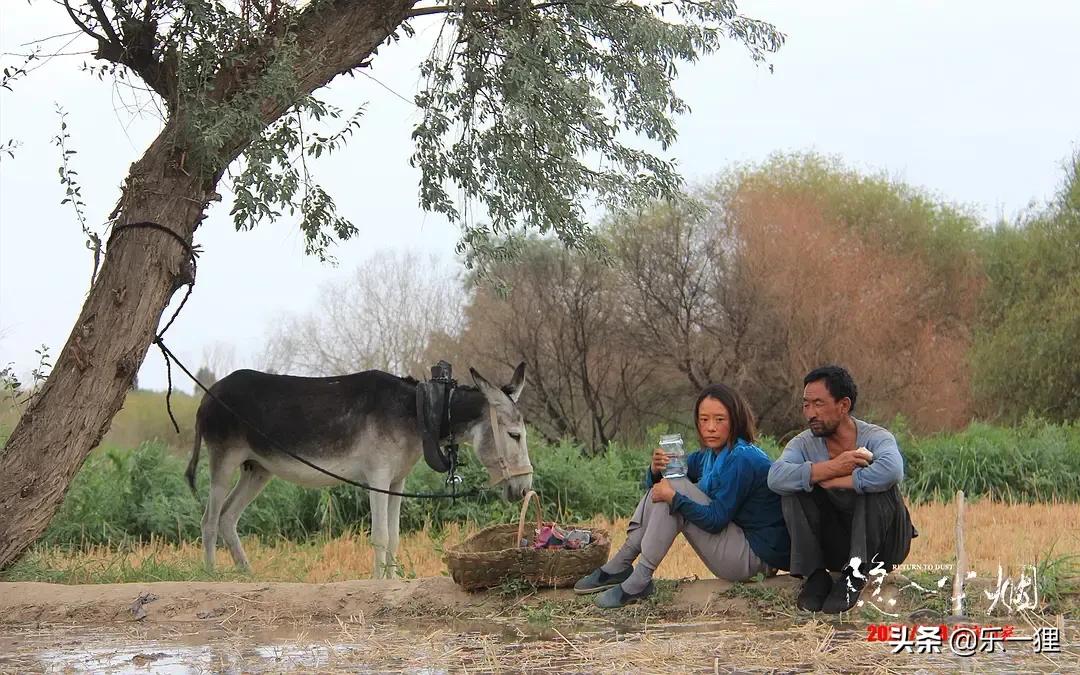 海清：新片扮演幸福版余秀华？