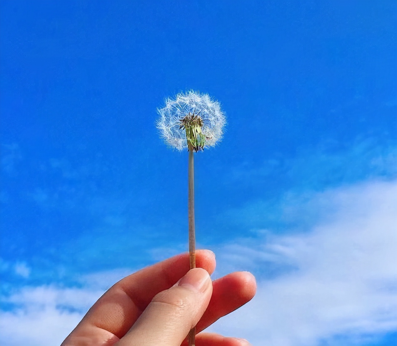 水滴筹真实可靠吗？如何保证自己筹钱取钱都顺利？这些坑别踩