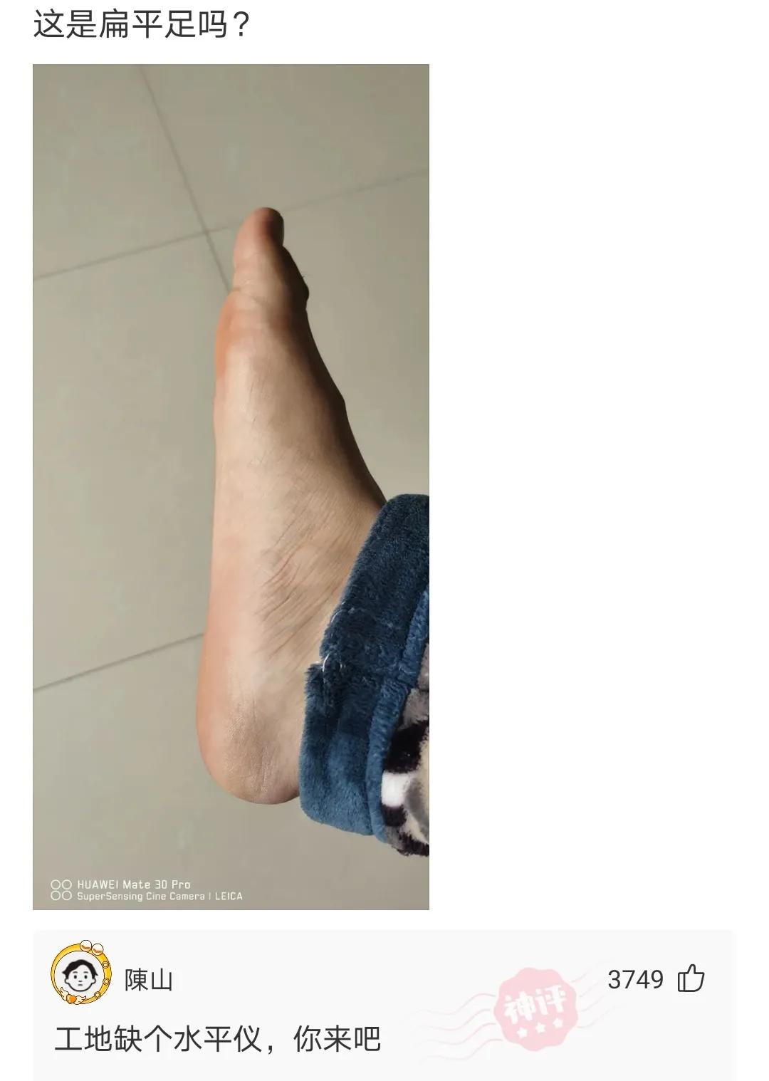神评爆笑合集：变形金刚买保险，是买车险还是人寿险？