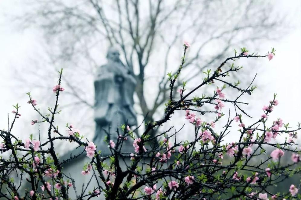 党中央、国务院表彰！湖北这所高校：成功打破国外垄断，实力强劲