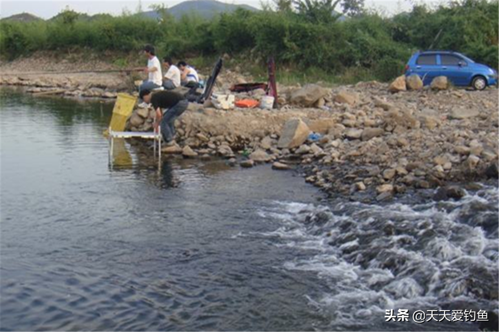 长流水在哪个地方(三伏天野钓，别钓静水了，找这4种活水钓位，大鱼扎堆在这里)