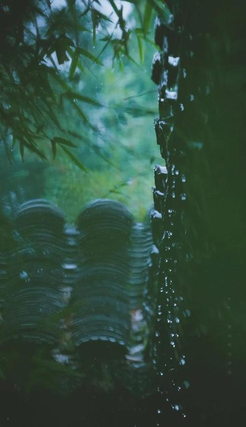 散文：春雨绵柔，用心感受属于自己的美好