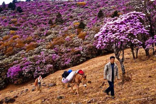 喜欢了！在这座无人在意的五线城市，实现了水果自由、鲜花自由