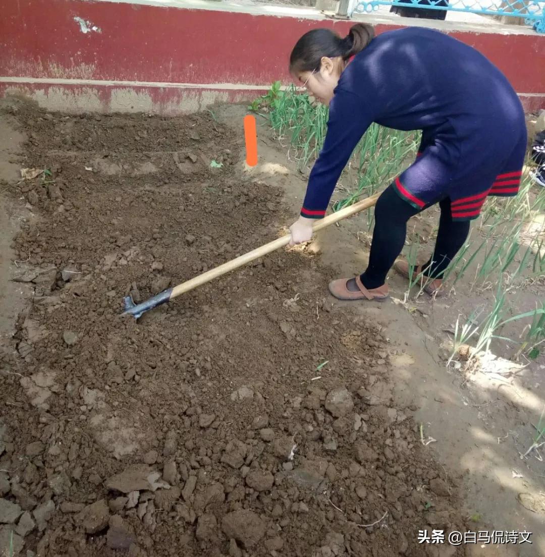 丢点是我的失败(余秀华的诗《点种》：爱情敲了一下门，你一个惊喜，就粉身碎骨)