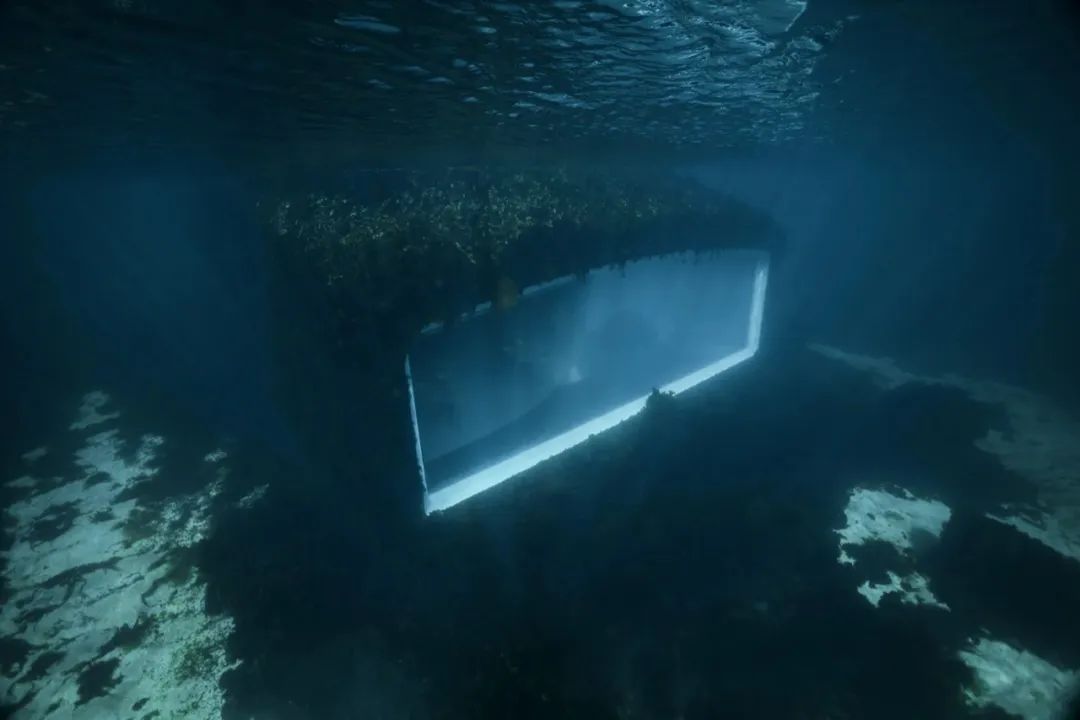 世界最大水下餐厅——挪威Under已完全“被大自然拥抱”